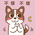 柯基丁丁