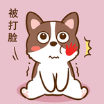 柯基丁丁