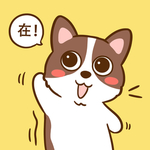 柯基丁丁