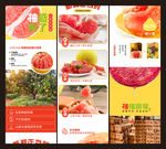 柚子详情页