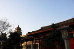 大雁塔