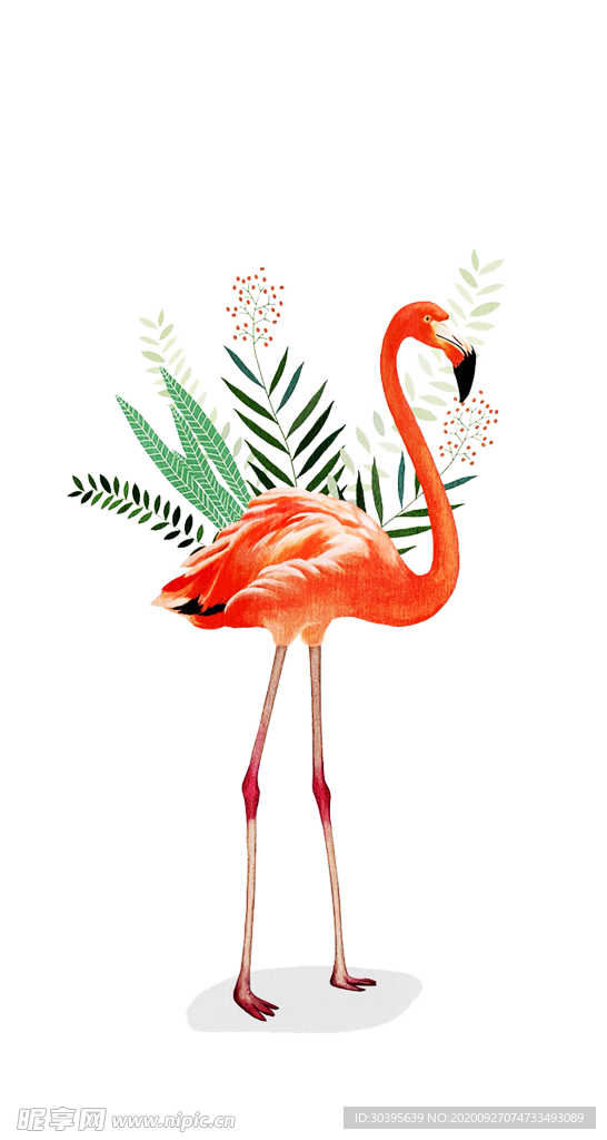 火焰素材