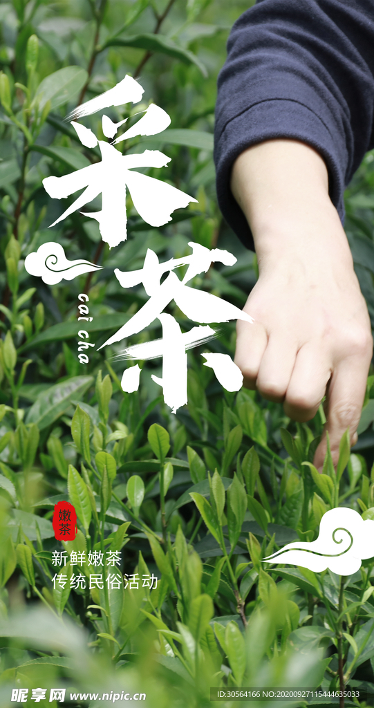 采茶茶叶茶园活动海报素材