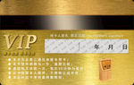 VIP金色会员卡反面