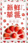 草莓海报