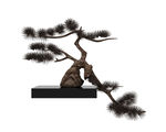 迎客松松树3d模型