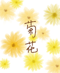 手绘菊花壁纸PSD分层