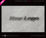 武藏LOGO样机 前台样机 形