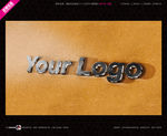 武藏LOGO样机 前台样机 形