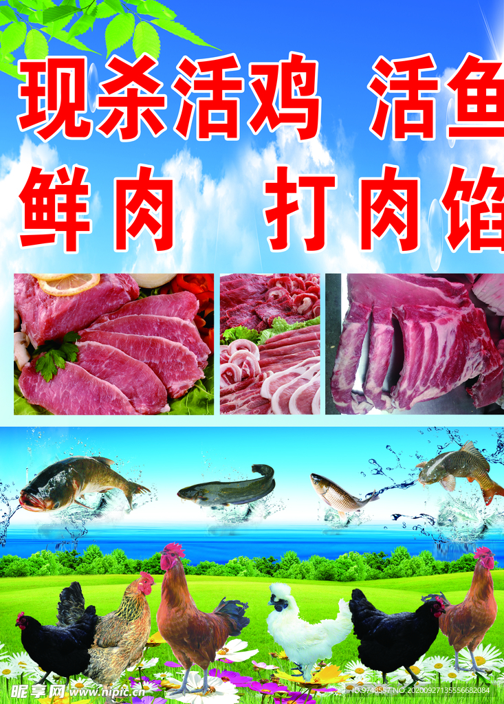 活鸡 活鱼 鲜肉