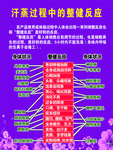 汗蒸过程中的整健反应