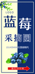 蓝莓海报