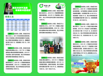 中国人寿折页