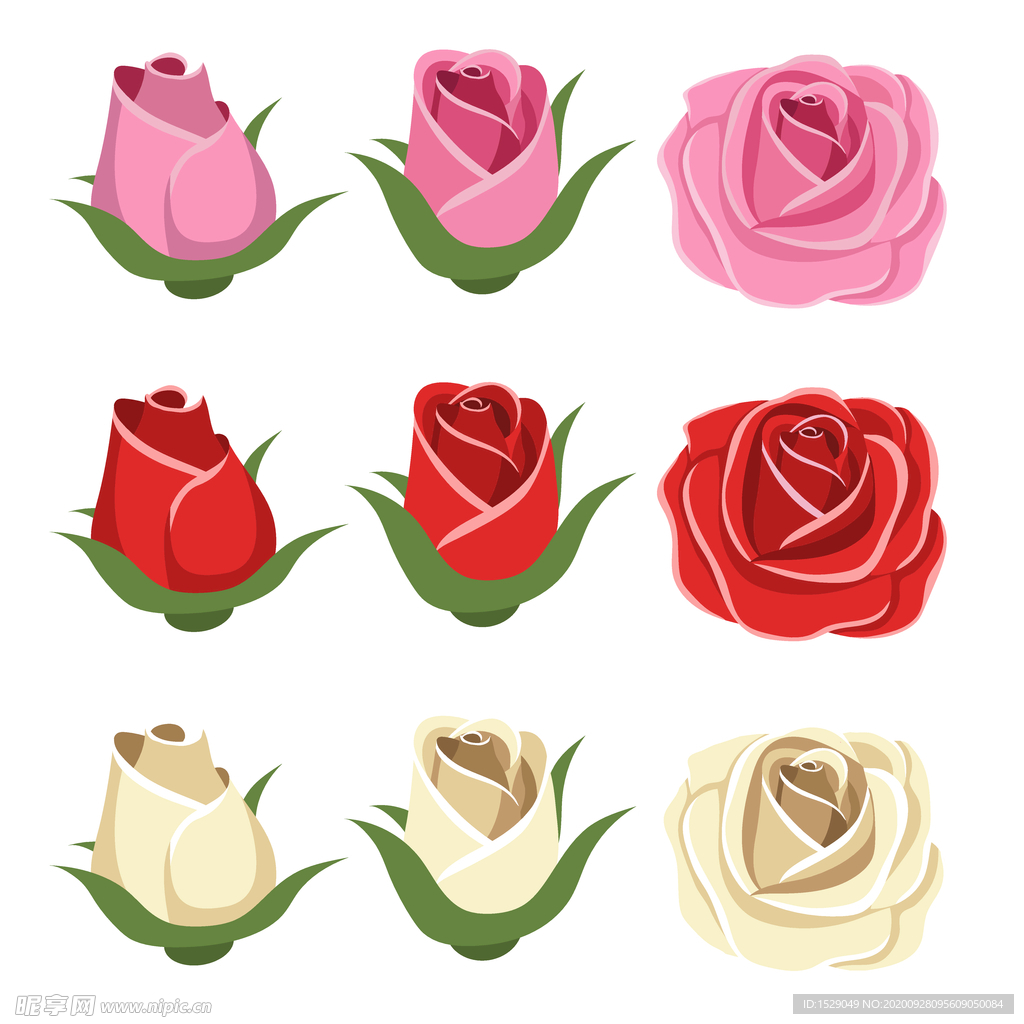 玫瑰花