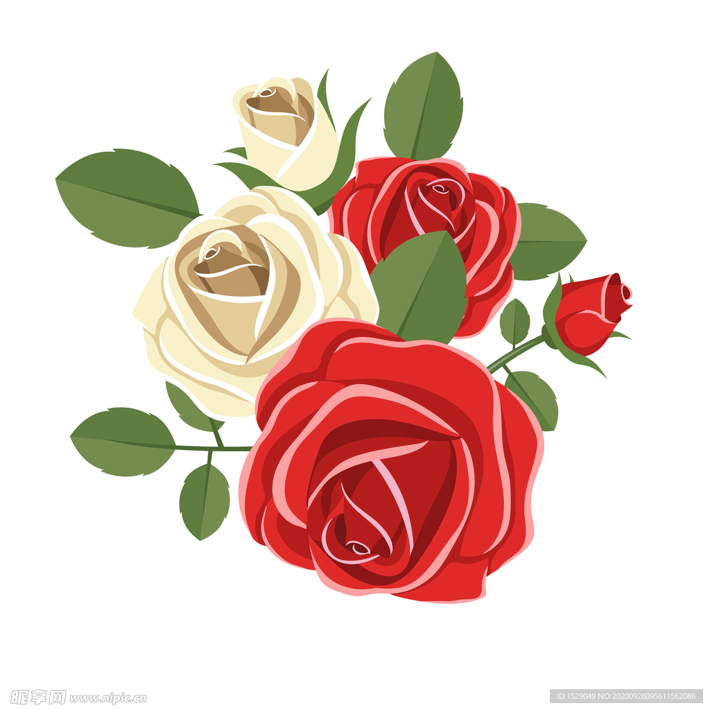 玫瑰花
