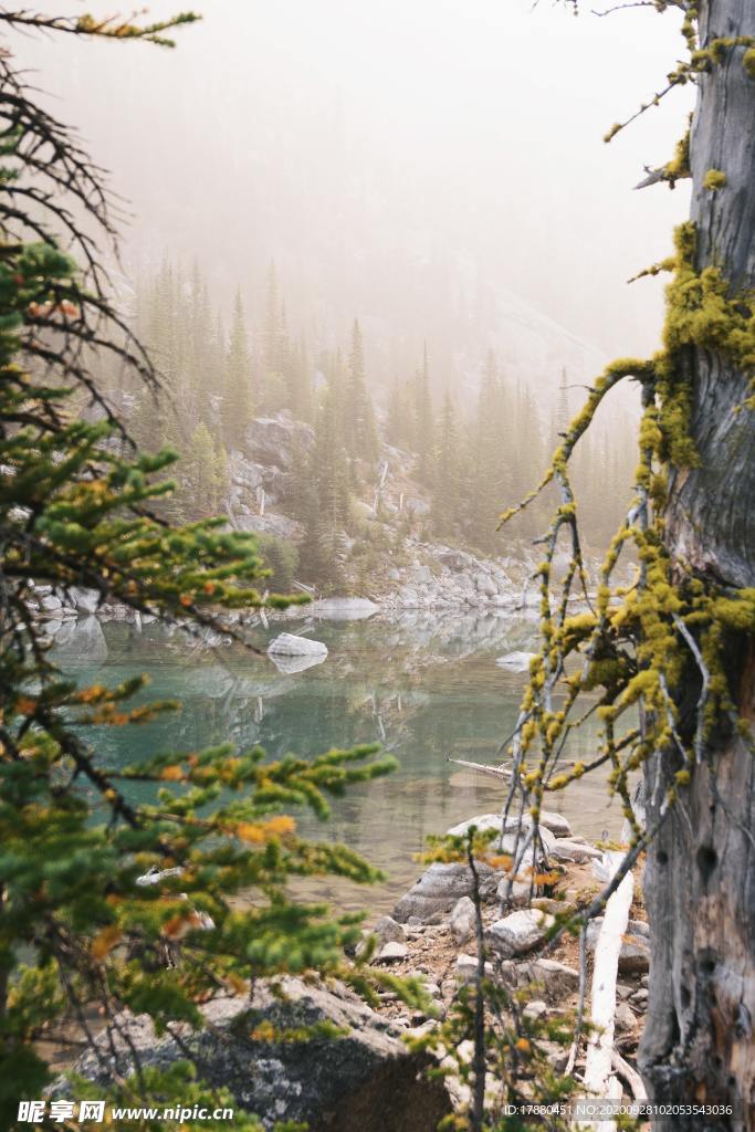 山林
