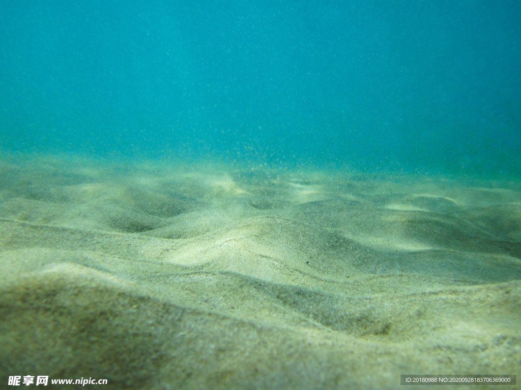 海底沙子