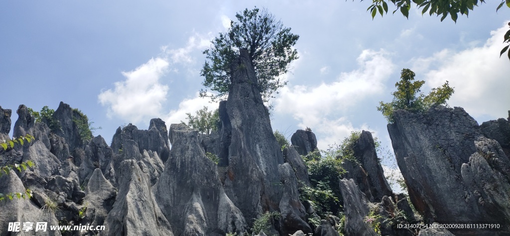 石林