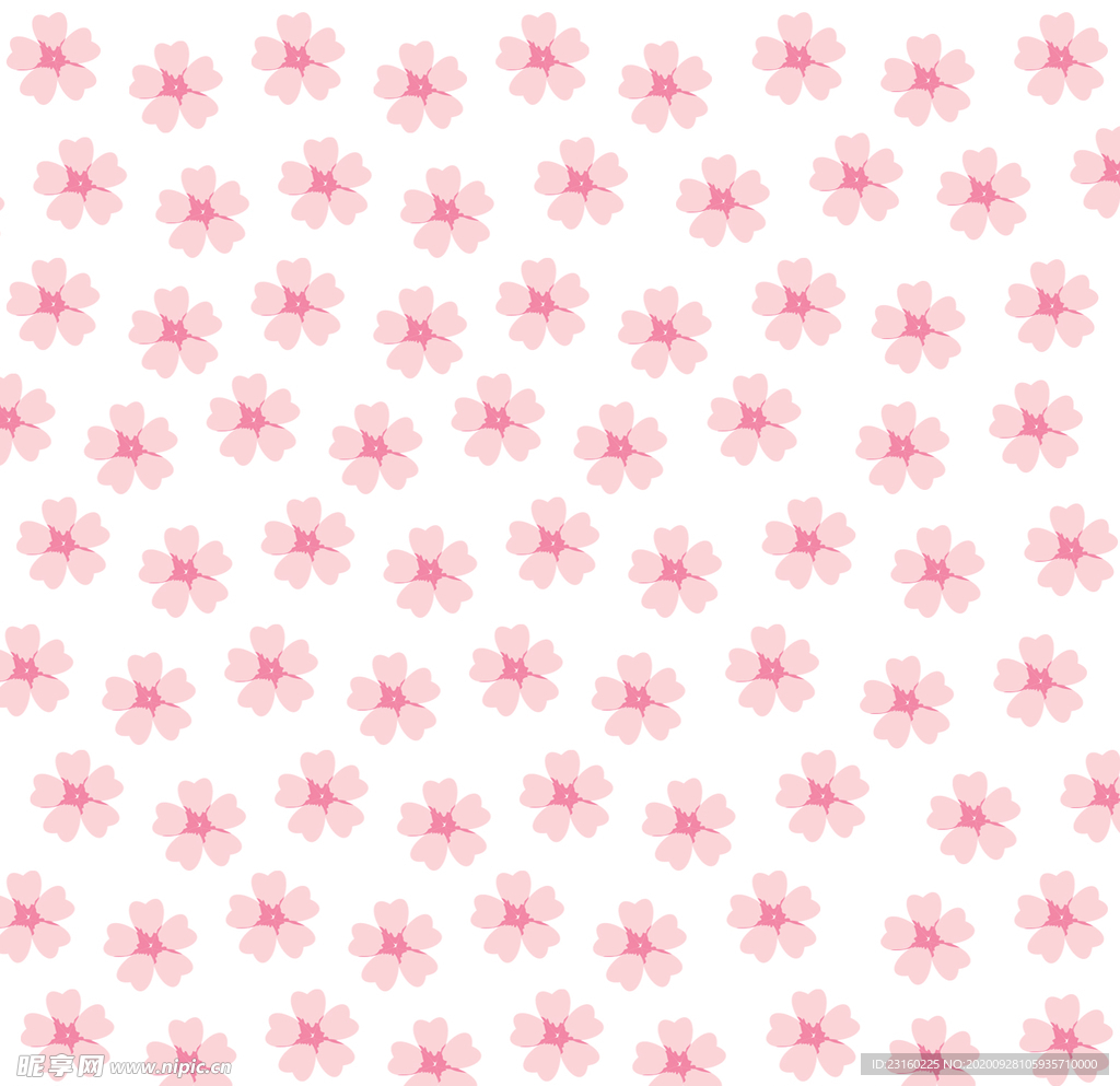 樱花花朵