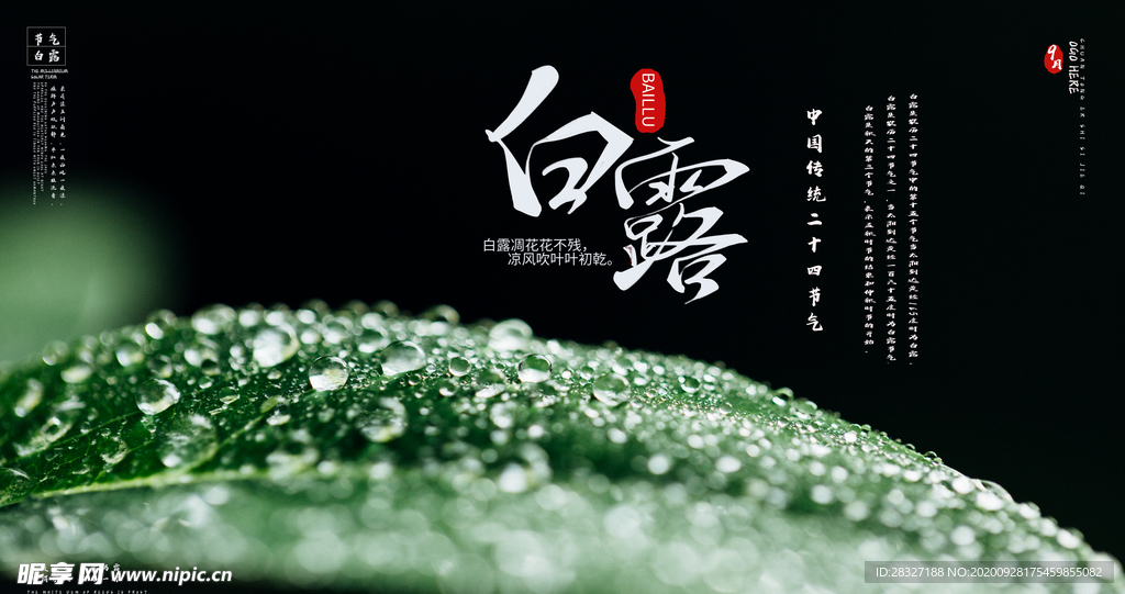 白露