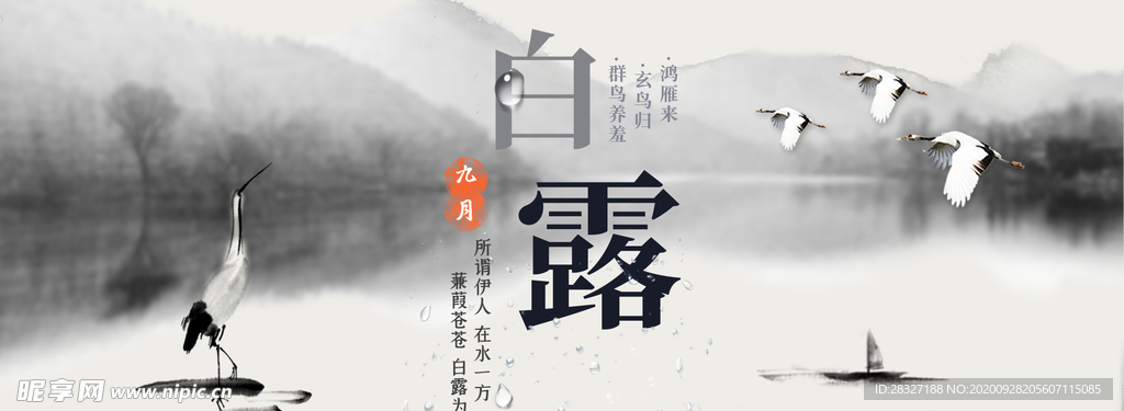 白露