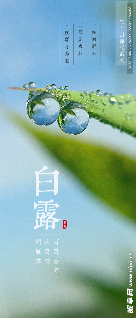 白露