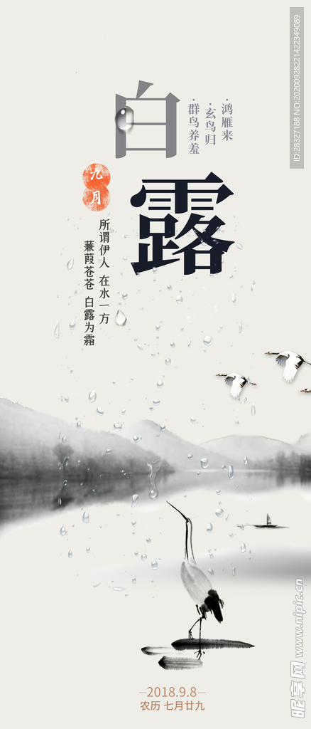 白露