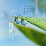 白露