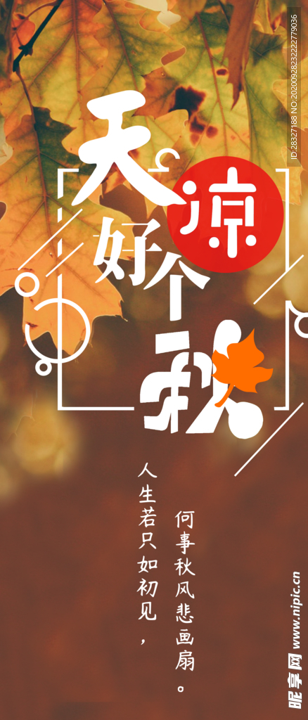 手机壁纸