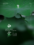白露
