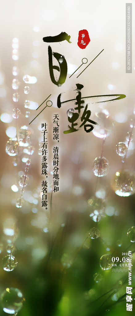 白露