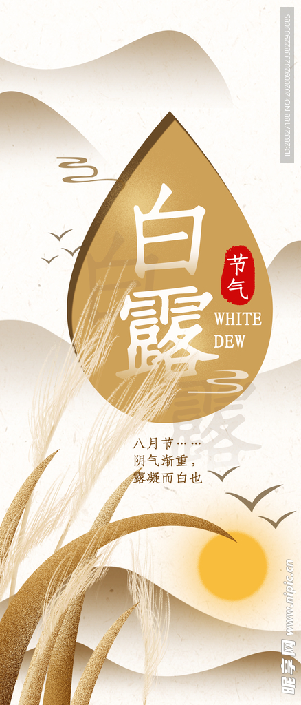 白露