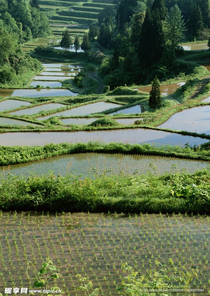 乡村田野