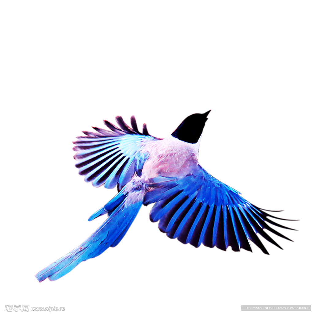 浪漫素材