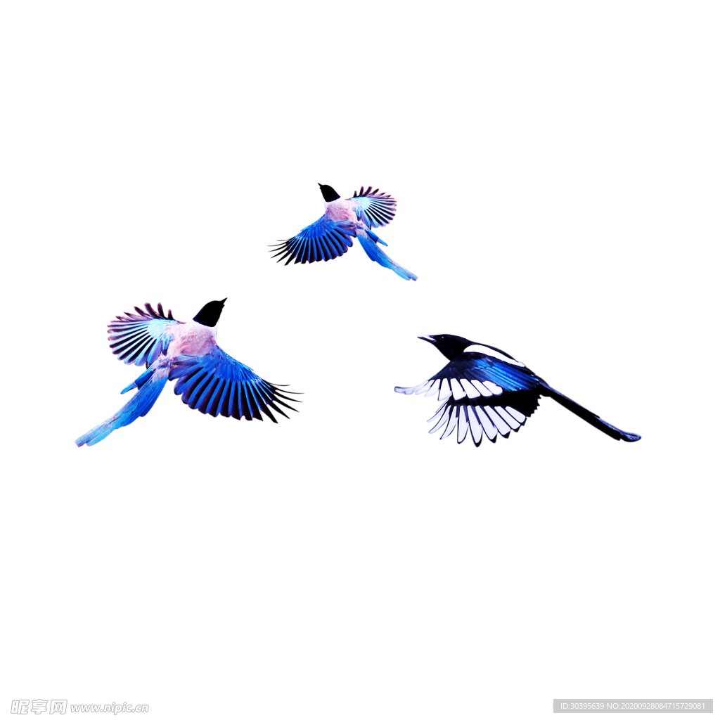 浪漫素材