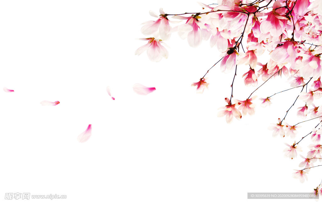 浪漫素材