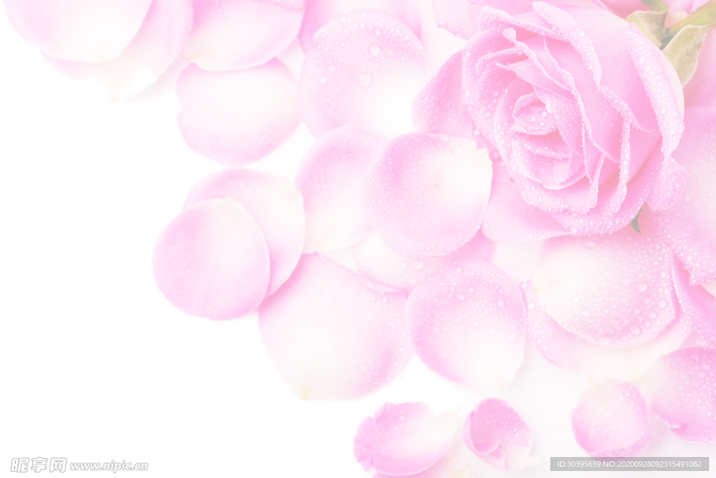 浪漫素材