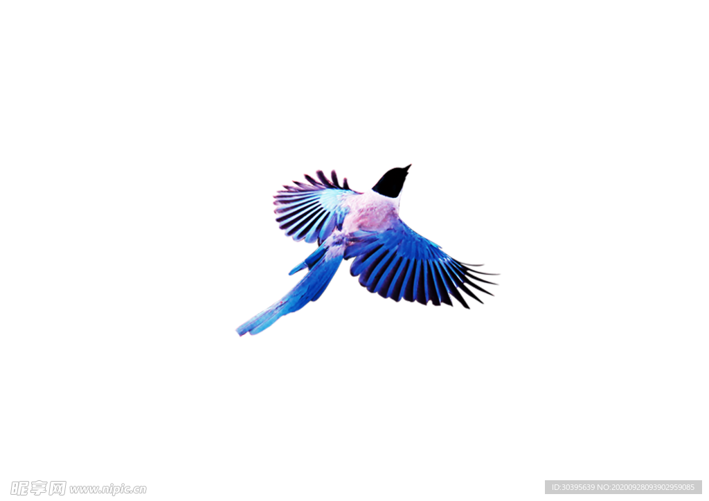 浪漫素材
