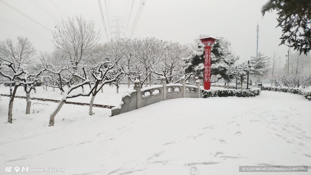 雪后公园