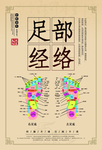 足部经络中医海报