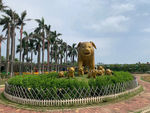 园林风景