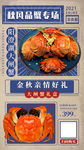 大闸蟹螃蟹美食海报图