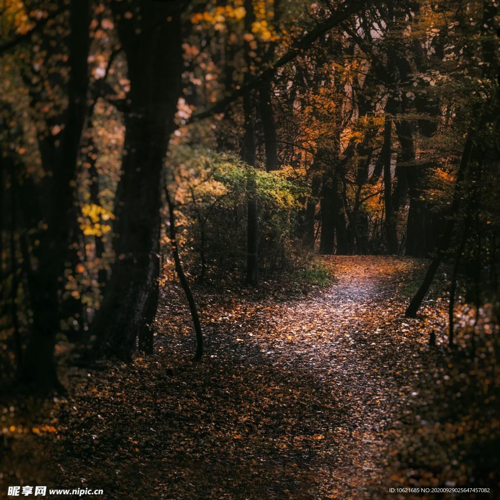 秋天景色