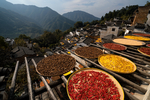 婺源