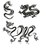龙
