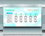 企业发展历程
