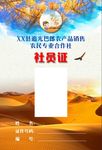 沙漠胡杨林