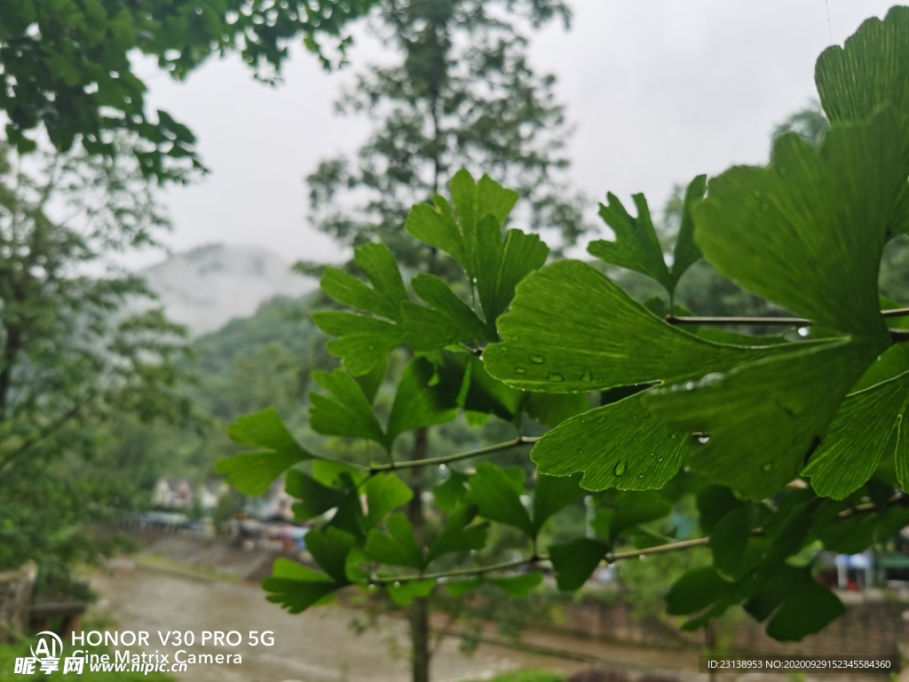 雨后