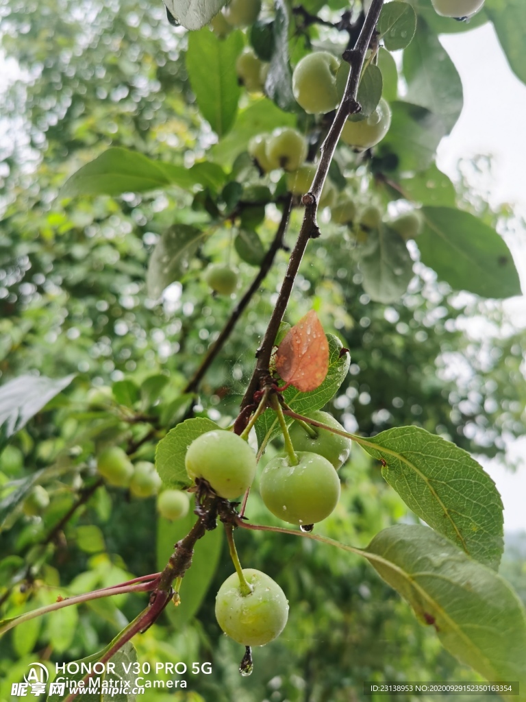 雨后