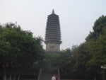 塔景